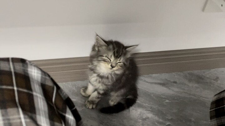 Let me capture the clingy and adorable moments from when I first arrived (。-ω-)zzz