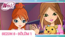 Winx Club - Sezon 8 Bölüm 1 - Yıldızların Gecesi