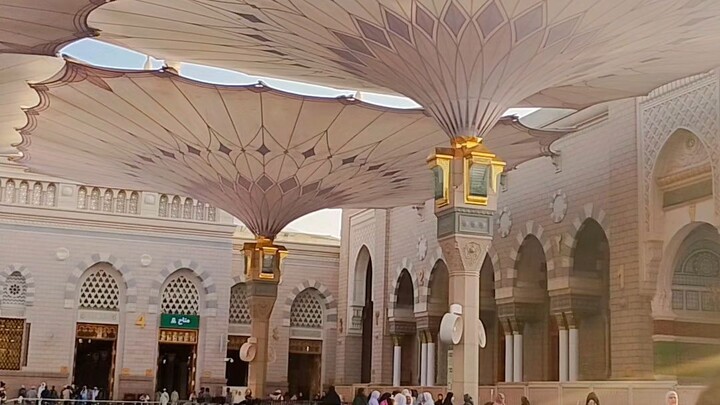 madina live ziyarat 🥰 mashallah #madina #makkah