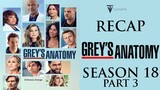 Grey's Anatomy | Season 18 Part 3 Recap