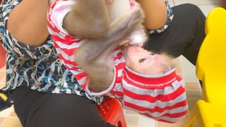 WOW Baby Mano Use New Style To Drink Milk, Baby Mano Drink So Much Milk Today