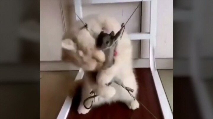 老鼠：哼，有本事你tm给老子来个痛快的！啊！啊啊！