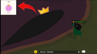 PLAY TOGETHER Săn Con Cá Khó Nhất Còn Thiếu Trong Bách Khoa Toàn Thư Cá HG Gamer