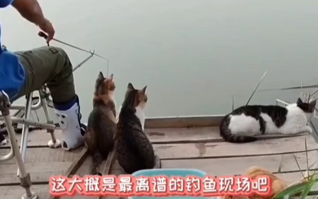 海绵宝宝：你俩二臂吧！