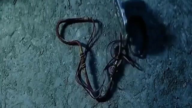 review phim mother revenger