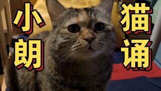 诗朗诵《妈我有点饿》