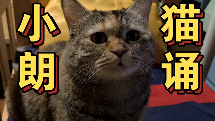 บทกวีอ่านออกเสียง "แม่ หนูหิวแล้ว"