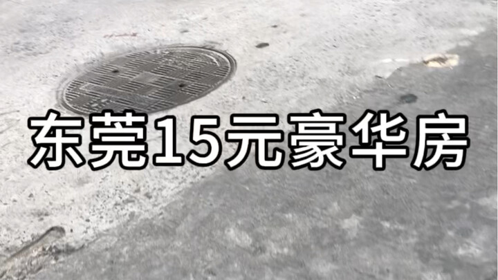 东莞15元豪华房