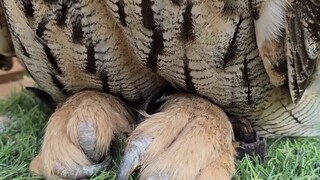 累了，坐会！