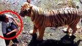 UNBELIEVABLE Animal Moments Caught On Camera!