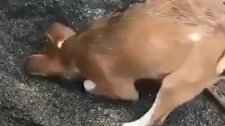 Nếu bạn không thể thay đổi hiện trạng, thì vẫn phải đăng ký VIP thôi.