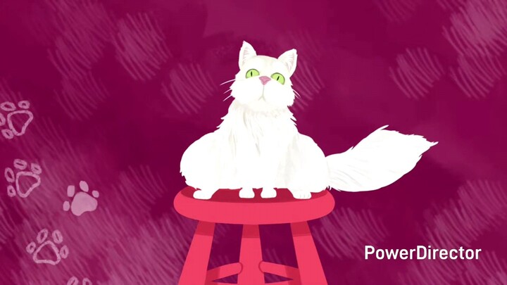 Roisin And Sean's Which Three Creatures Likes The Rain Review