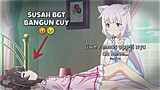 Tutorial membangunkan kucing yg malas bangun😁👍🏻 || Jedag Jedug Anime