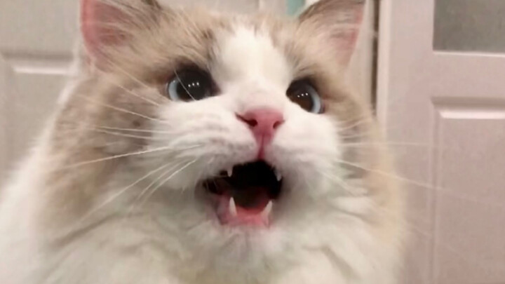 Ekspresi galak, suara nenek