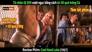 Tù nhân IQ 300 vượt ngục bằng cách ăn 50 quả trứng - tóm tắt phim Cool Hand Luke