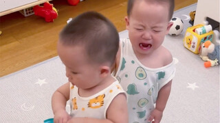 Đây là sự trả thù nhanh nhất mà tôi từng thấy.