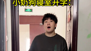 小奶狗开学...