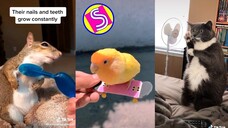 Funny Moments Of The Year Compilation PART 5