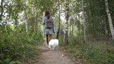 Đưa cún yêu lười nhất thế giới đi dạo ở nước ngoài _ Holly _ pomeranian _ 13