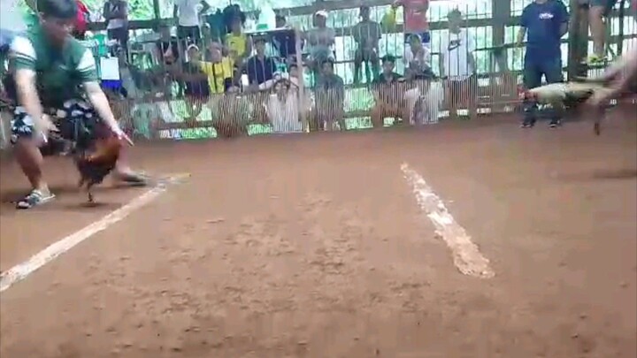 Hiraw one heat cutting