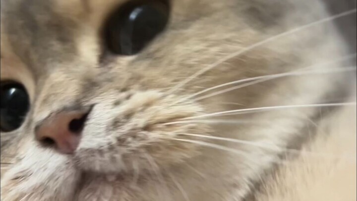 إلى أي مدى تصرّ كاتبة على الصعود إلى السرير؟