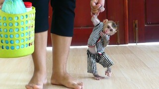 Smart Tiny Baby Maki Happy Walk Holding Hand Mom When Back from the market