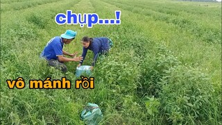 Tưởng Đâu Được Một Bữa No Nê Ai Ngờ Tư Bị Vợ Gạt Thế Này Đây