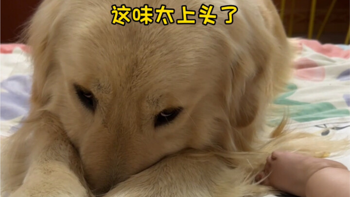 Lao Si: Di rumah ini, cepat atau lambat aku pasti akan mati tercium asap.