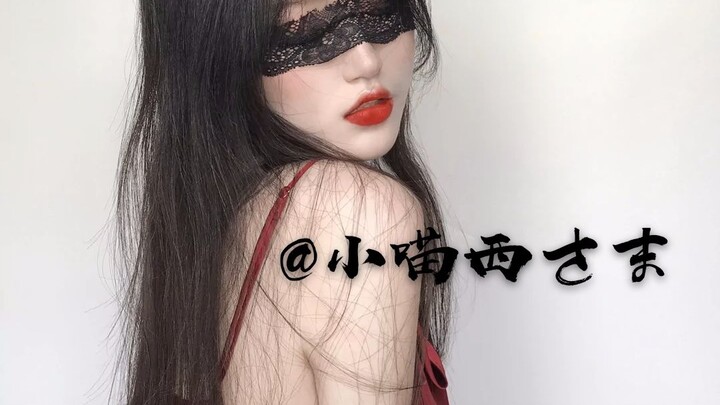 Mèo Tây giúp ngủ ngon >3< Tai chiên, não chiên siêu phê!