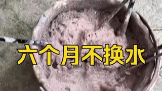 美术生得牛逼