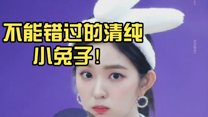 【裴珠泫】【IRENE】不能错过的清纯小兔子！