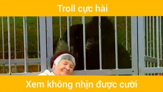 Troll động vật hài :)))