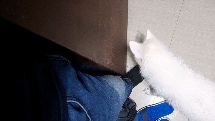 ung gusto sumama mag sundo