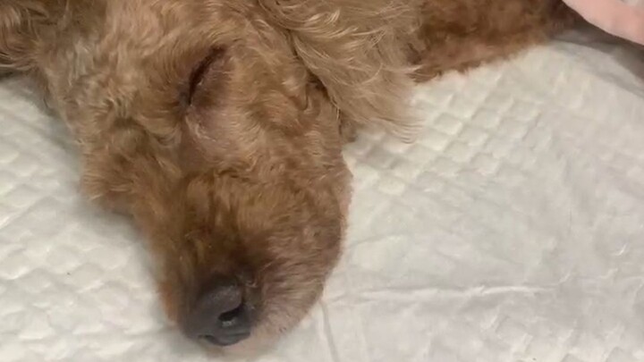 阎王亲自来索命，你该何去何从