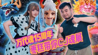 很 糕 兴!~万代魂15周年CJ巡展逛起来!!