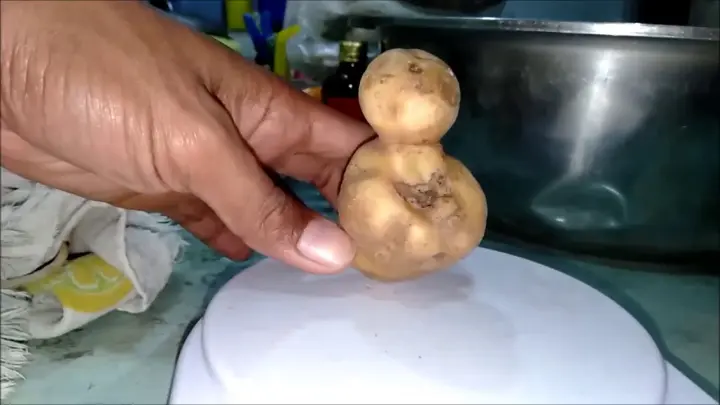 Potato-what it looks like?