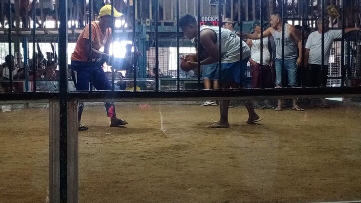 3xwins first win mga boss