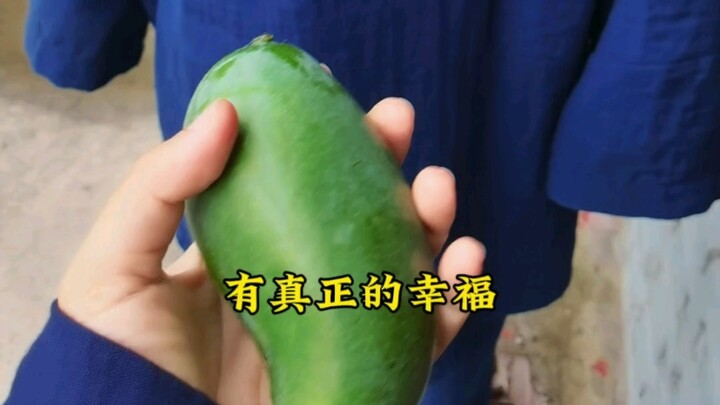 Taoist Monastery Idiot's Daily Fruit Offering 4