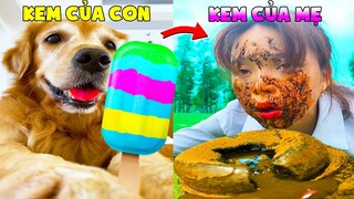 Thú Cưng Vlog | Chó Gâu Đần Golden Troll Mẹ #16 | Chó golden vui nhộn | Smart dog golden funny