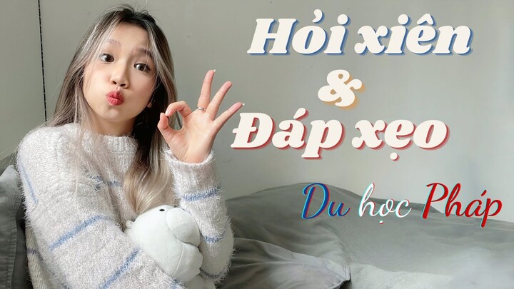 Q&A Du học Pháp 🇫🇷| TCF B1 381 trong 5 tháng, lý do chọn Pháp, …| MNGKK VLOG