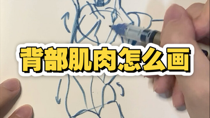 How to draw back muscles