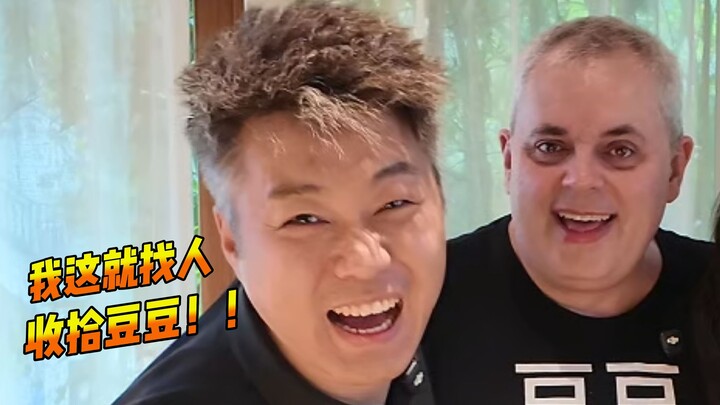 Giấu bé Đậu Đậu làm chuyện lớn! Liệu anh ấy có chịu nổi món quà bất ngờ này không?