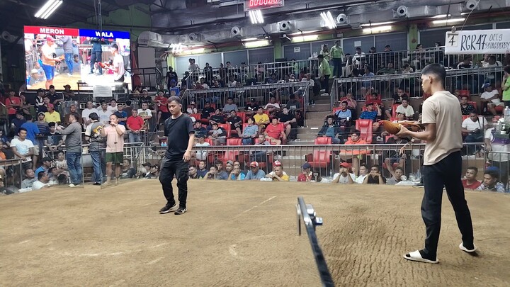 July 17 2025 8stag 5stag sta monica last fihht win