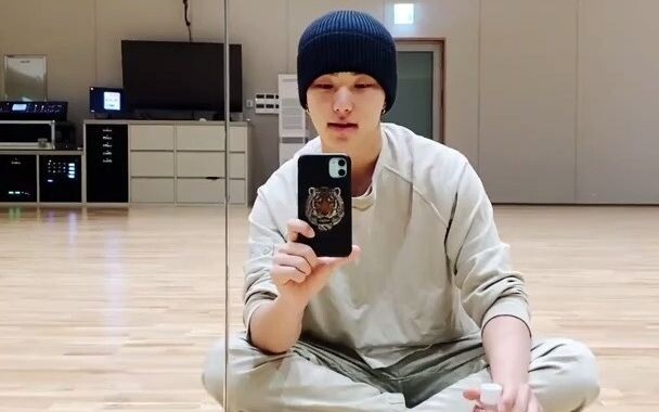 [SVT_Harbour ترجمة بالصينية] 210730 سيفنتين هوشي 🐯+🐯2