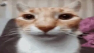 tudududu duh tududududu tududududu tududududu