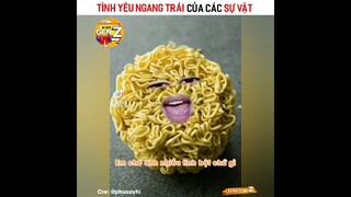 Tình Yêu Ngang Trái Của Các Sự Vật