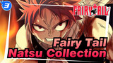 Fairy Tail|Natsu Personal Classic Combat Collection!_WA3