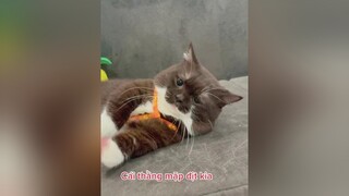 voiceeffects  Hình ảnh yêu thương giữa 2 mẹ con nhà soju meowsoju cat fypシ munchkin meo meow meocute