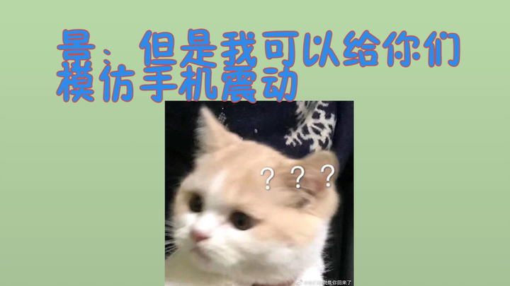 【景向谁依】Những năm tháng xem chương trình bắt chước khiến tôi cười đến rụng cả đầu, hahahaha (chỉ lồng 
