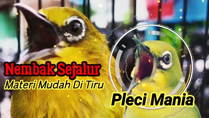 materi nembak sejalur witwit